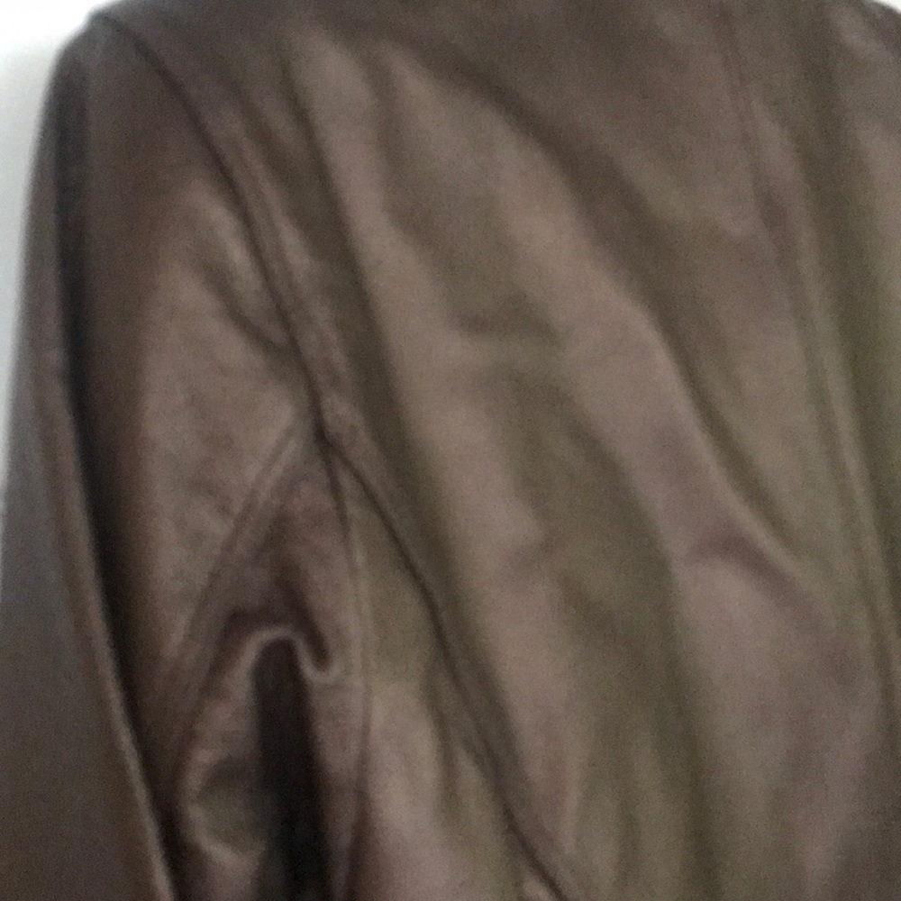 Bronze Leather Jacket - image 3